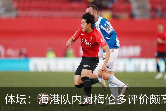 体坛：海港队内对梅伦多评价颇高，他让球队在中场位置更具主动