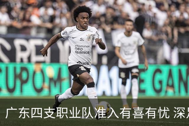 广东四支职业队准入有喜有忧 深足只能期待奇迹